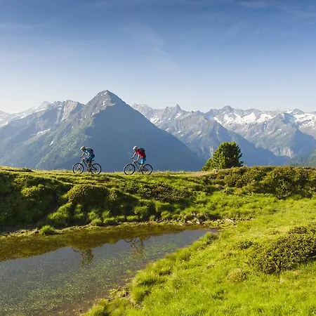 Appart Tirol * Hippach
